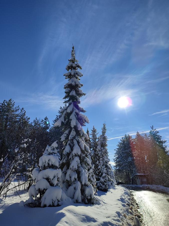 Carobni Breg Apartment Zlatibor
