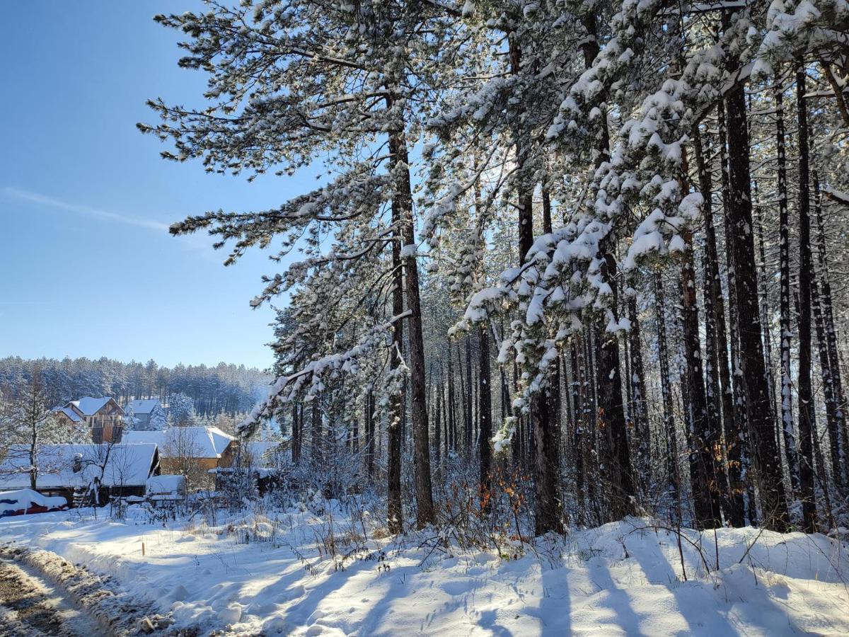 Carobni Breg Apartment Zlatibor